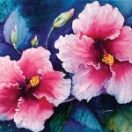hibiscus-glory