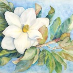 magnolia-bliss
