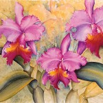 orchid-fantasy